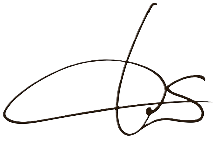 densinelnykov-logo