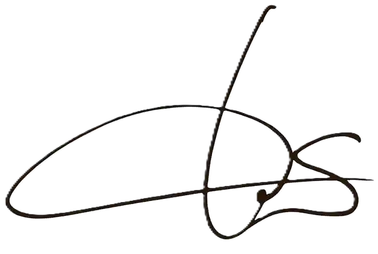 dslogo
